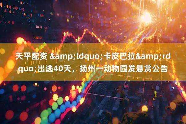 天平配资 &ldquo;卡皮巴拉&rdquo;出逃40天，扬州一动物园发悬赏公告
