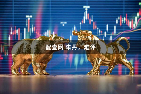 配查网 朱丹，难评