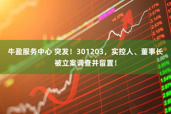 牛盈服务中心 突发！301203，实控人、董事长被立案调查并留置！