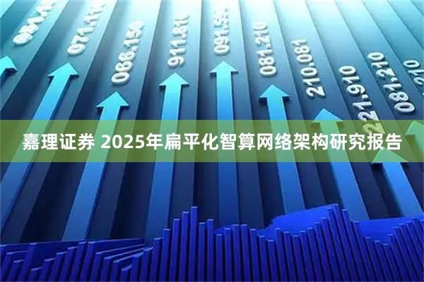 嘉理证券 2025年扁平化智算网络架构研究报告