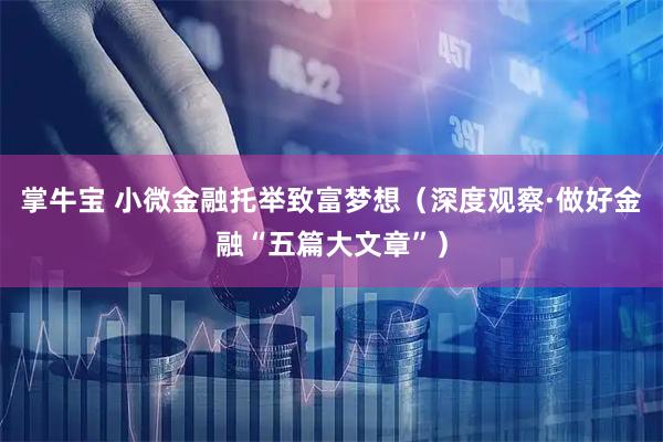 掌牛宝 小微金融托举致富梦想（深度观察·做好金融“五篇大文章”）