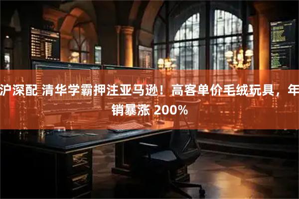 沪深配 清华学霸押注亚马逊！高客单价毛绒玩具，年销暴涨 200%