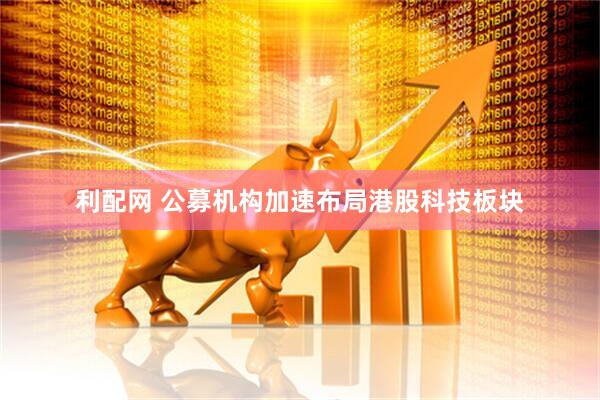 利配网 公募机构加速布局港股科技板块